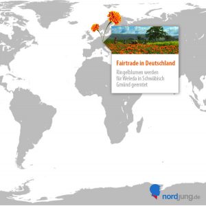calendula-ernte-fairtrade-in-deutschland