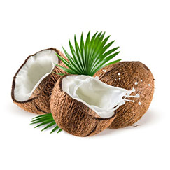 naturkosmetik-mit-kokosoel