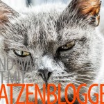 xovilichter-katzenblogger